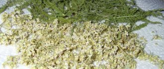 Steam baths with yarrow recipe for acne and wrinkles